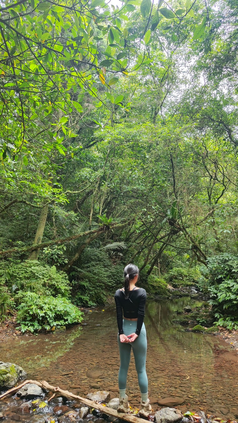 宜蘭頭城 | 最高寺廟 | 海景第一排 | 太和宮金殿