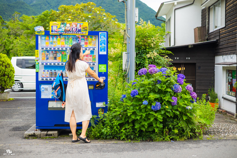 北九州自駕七日行 (福岡、由布院、長崎、佐賀)圖多