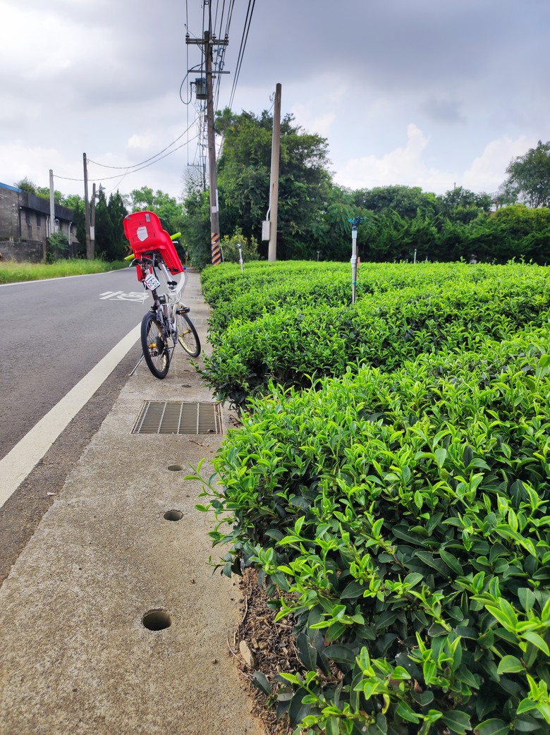 2024年夏,小小孩的騎旅,桃園,96聯賽桃園讚^_^