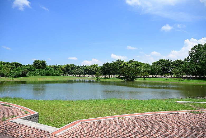 Z9+663梅雨季拍燕子，介紹落日灣、右岸濕地、鵬村濕地和鳥仔咖。加映Z6III拍燕子及崁頂生態公園。