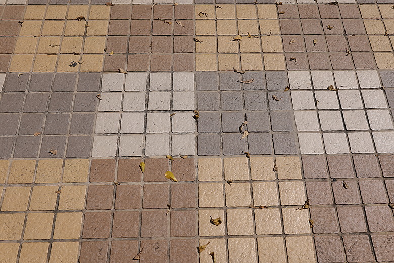 Canon RF 35mm f/1.4L VCM 評測報告｜攝錄一體、更輕更小更強大！