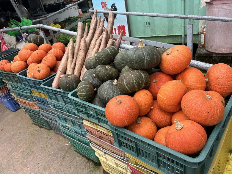 梨山賓館希利克步道森林健行