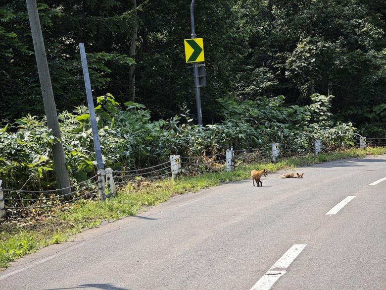 [圖多分享]：Xiaomi 14 Ultra拍攝北海道旅行記錄