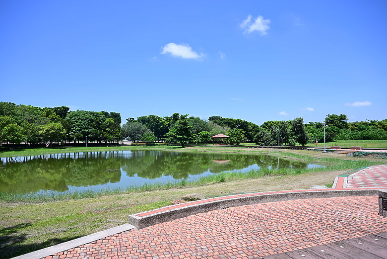 Z9+663梅雨季拍燕子，介紹落日灣、右岸濕地、鵬村濕地和鳥仔咖。加映Z6III拍燕子及崁頂生態公園。