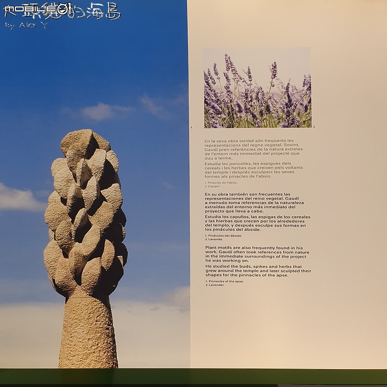 [大頭貓的海島] 巴塞隆納 聖家堂 (Spain: Barcelona's Sagrada Familia)