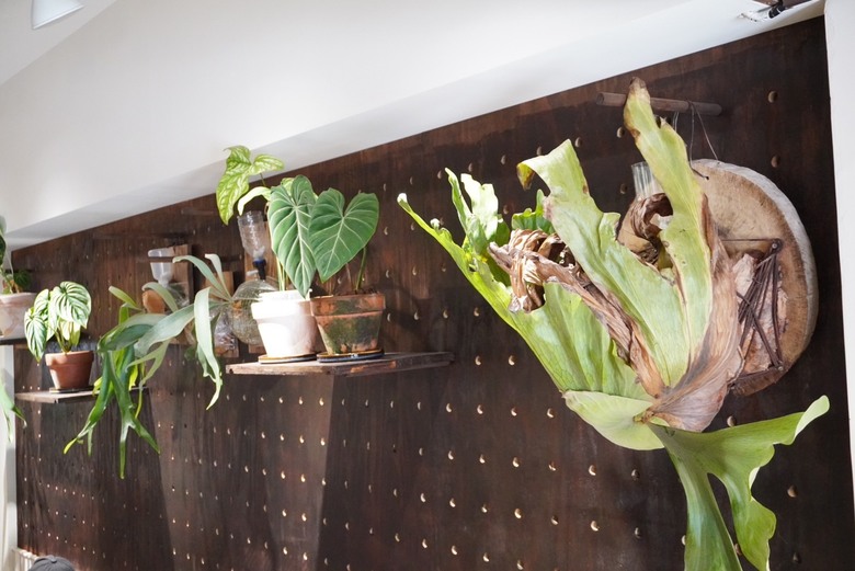 內湖 哈妮早樂子咖啡早午餐