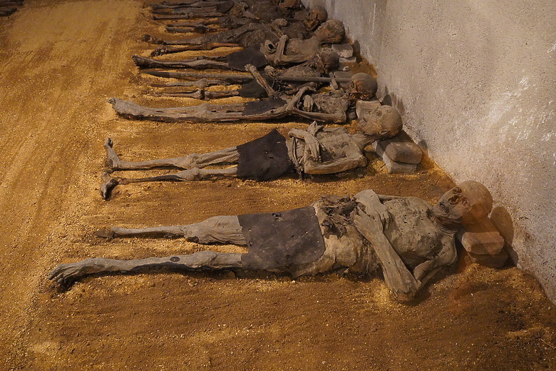 2024 捷克．布爾諾 Brno．卡普欽地穴 Kapucínská krypta