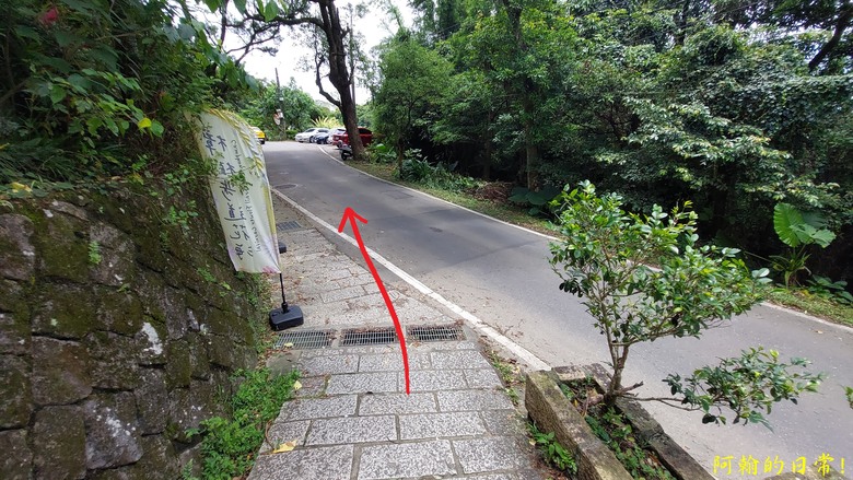 [2024 台北大縱走第七段] 竹柏參道 → 飛龍步道政大後山｜貓空來支霜淇淋｜充滿田園風光的樟樹步道