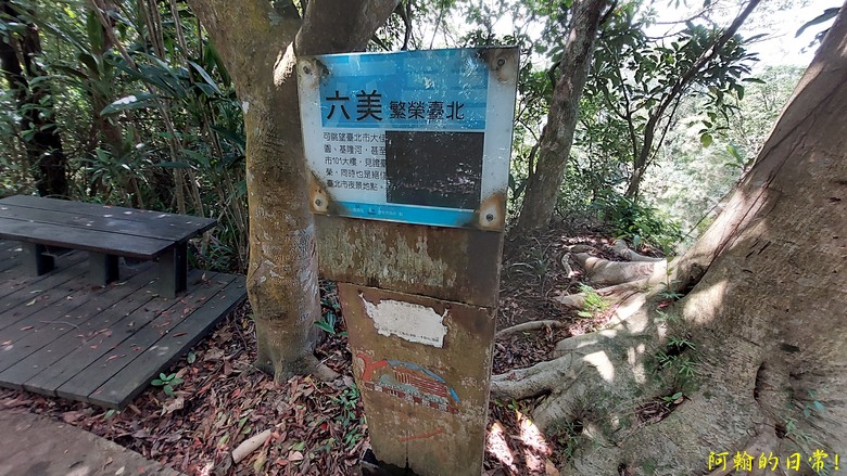 [2024 台北大縱走第五段] 捷運劍潭站 → 碧山巖｜遇到不知死活的眼鏡蛇｜台北市區、山巒美景 盡收眼底