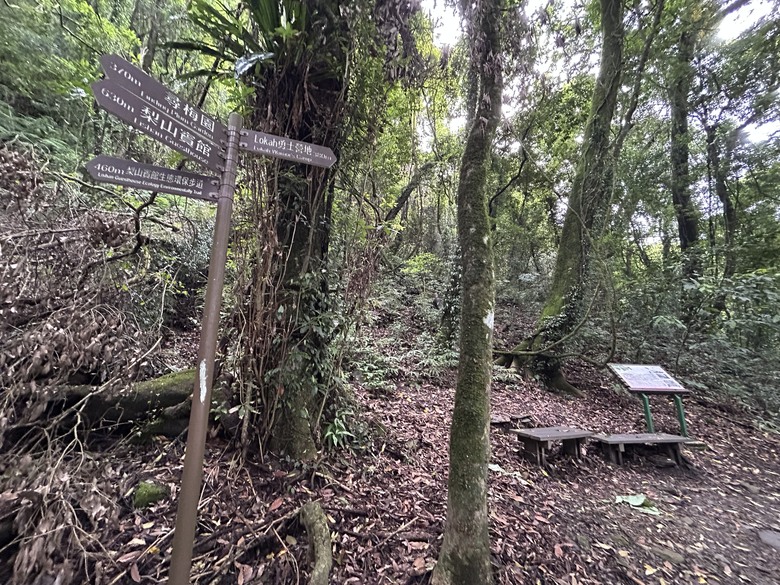 梨山賓館希利克步道森林健行