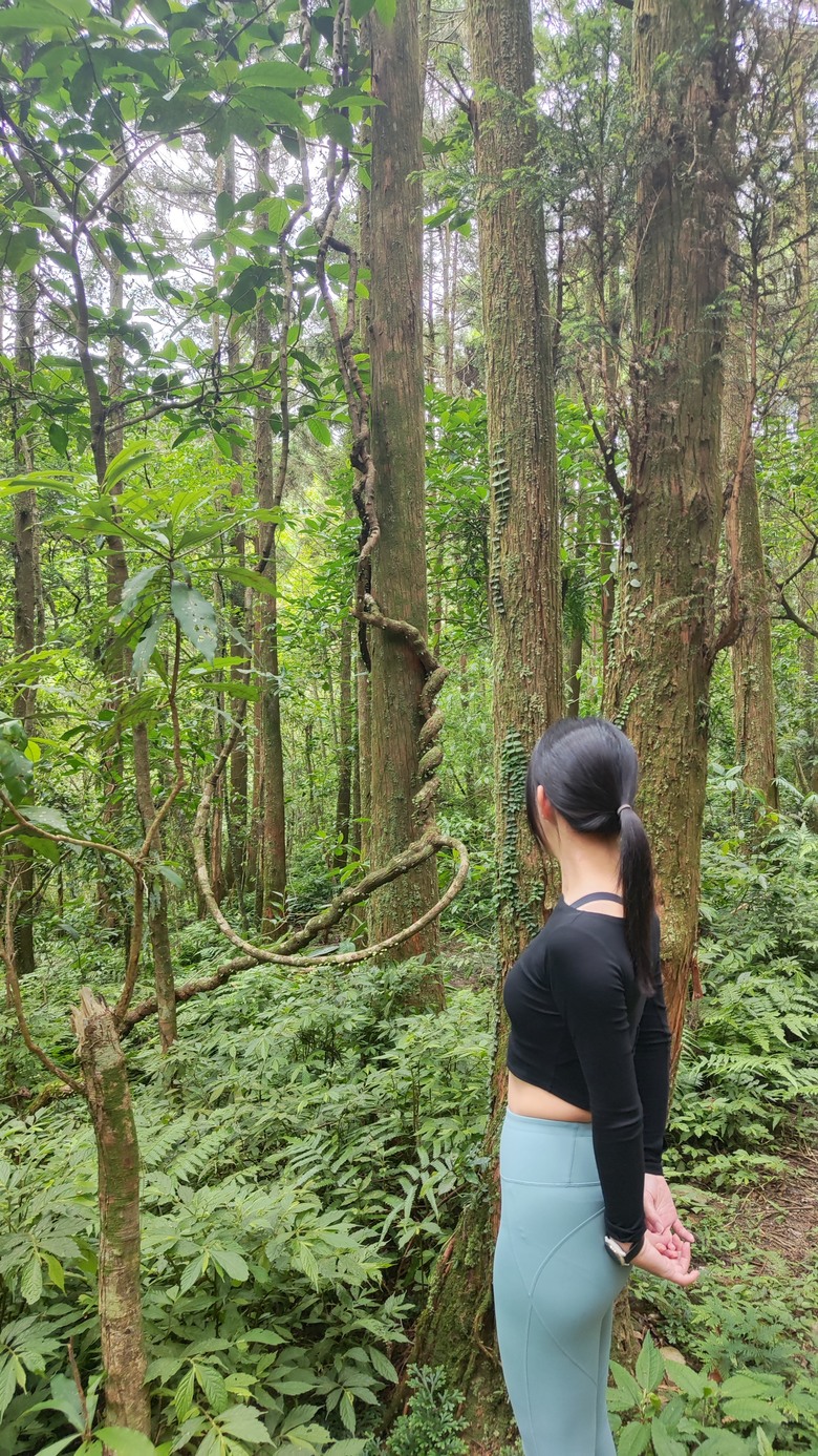 宜蘭頭城 | 最高寺廟 | 海景第一排 | 太和宮金殿