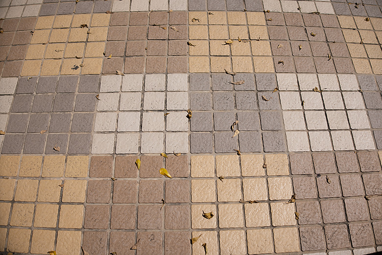 Canon RF 35mm f/1.4L VCM 評測報告｜攝錄一體、更輕更小更強大！