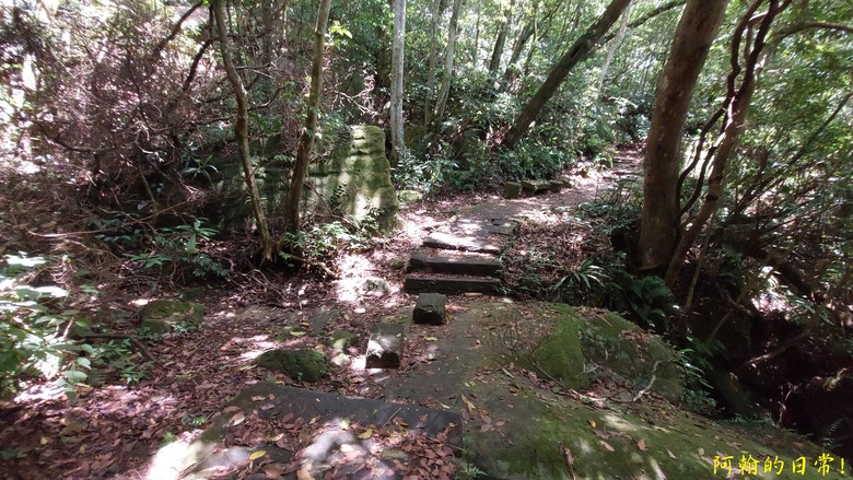 [2024 台北大縱走第五段] 捷運劍潭站 → 碧山巖｜遇到不知死活的眼鏡蛇｜台北市區、山巒美景 盡收眼底