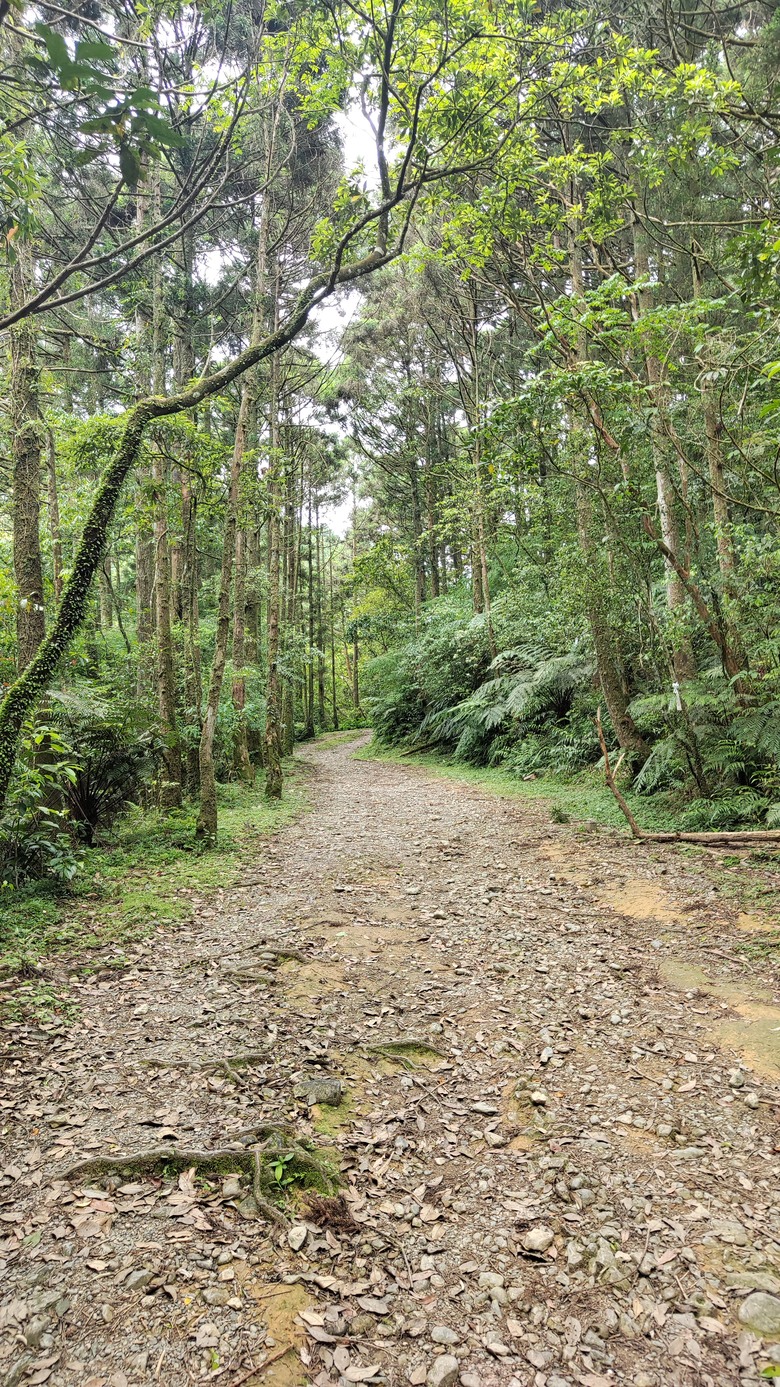 宜蘭頭城 | 最高寺廟 | 海景第一排 | 太和宮金殿