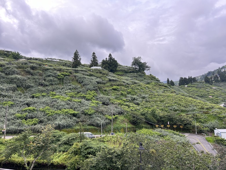 晨 騎 梨 山 ( 上 集 ) 發 現 梨 山