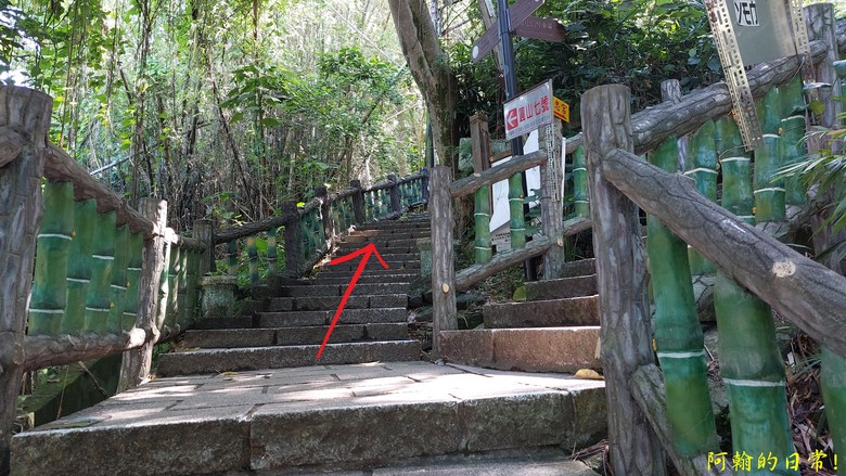 [2024 台北大縱走第五段] 捷運劍潭站 → 碧山巖｜遇到不知死活的眼鏡蛇｜台北市區、山巒美景 盡收眼底
