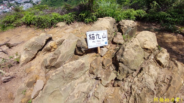 [2024 台北大縱走第五段] 捷運劍潭站 → 碧山巖｜遇到不知死活的眼鏡蛇｜台北市區、山巒美景 盡收眼底