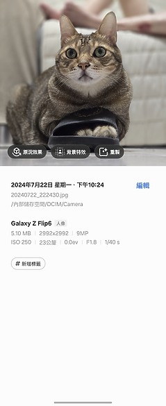 三星Galaxy Z Flip6測試｜AI加持、改善小摺痛點！ft.Z Flip5