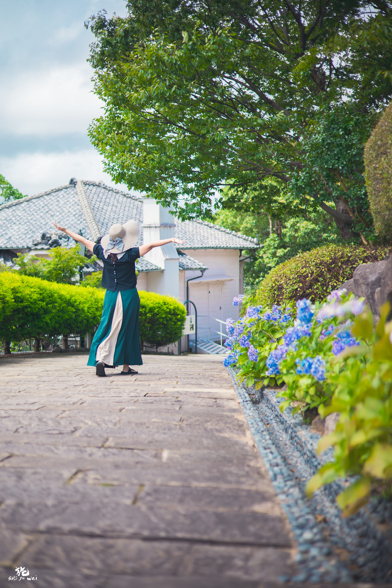 北九州自駕七日行 (福岡、由布院、長崎、佐賀)圖多