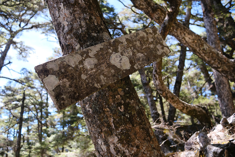 【南橫溪頭山】媲美南橫三星百岳的一座巨岩高山