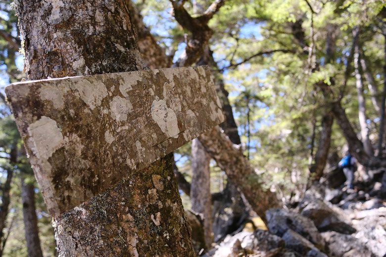 【南橫溪頭山】媲美南橫三星百岳的一座巨岩高山