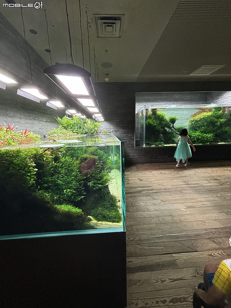 東京之旅｜東京晴空塔下的神祕的海洋奇妙冒險：墨田水族館一遊