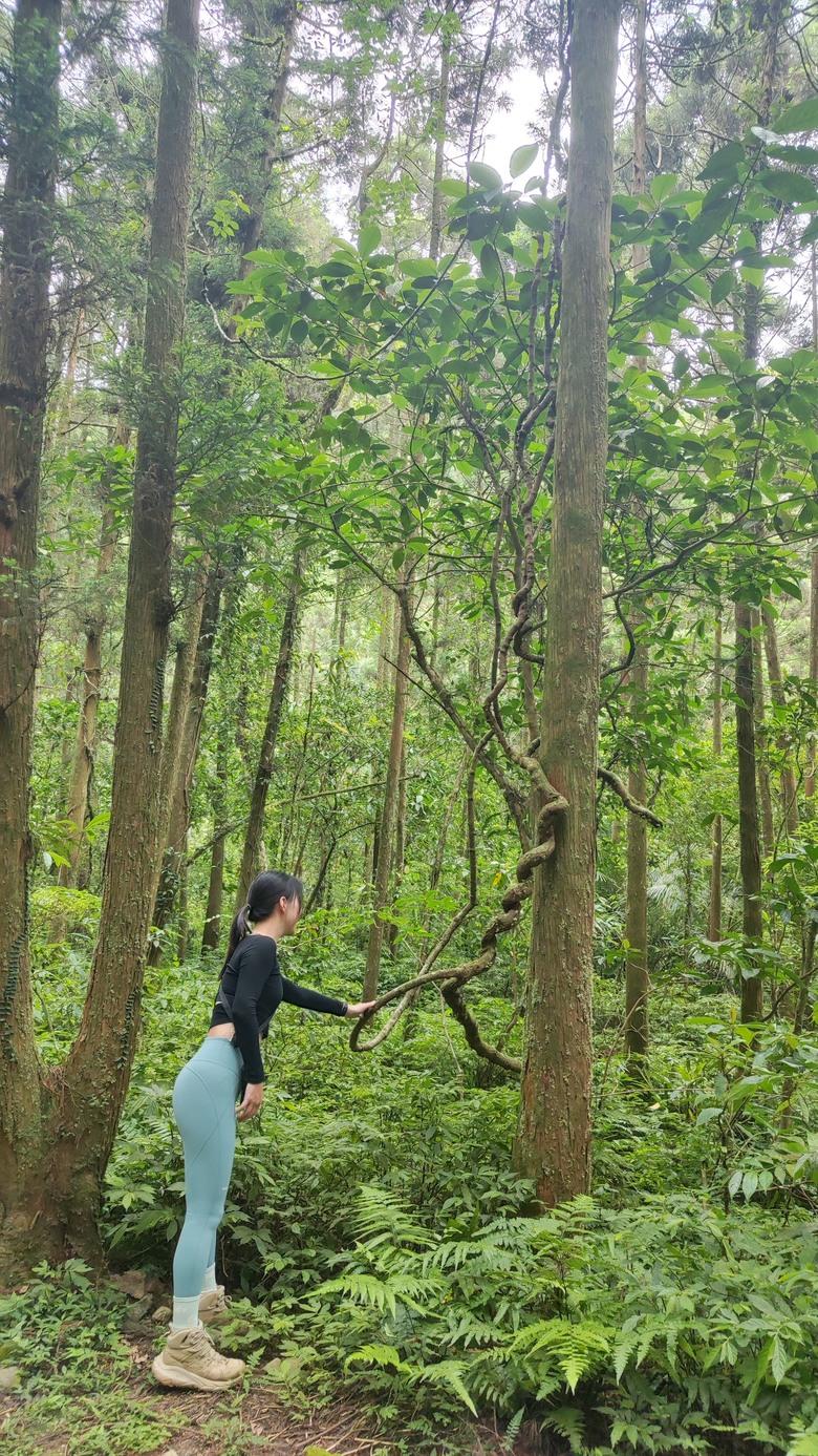 宜蘭頭城 | 最高寺廟 | 海景第一排 | 太和宮金殿