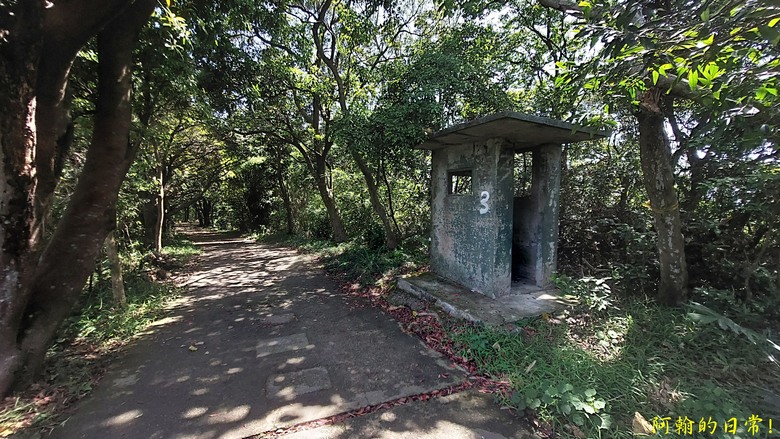 [2024 台北大縱走第五段] 捷運劍潭站 → 碧山巖｜遇到不知死活的眼鏡蛇｜台北市區、山巒美景 盡收眼底
