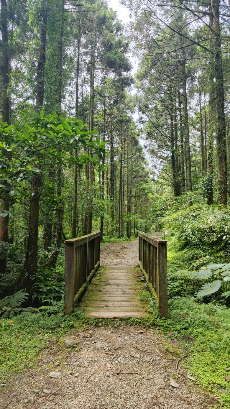 宜蘭頭城 | 最高寺廟 | 海景第一排 | 太和宮金殿