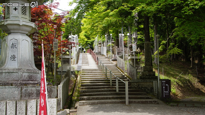 ＜日本＞意料之外的簡單日本大阪騎車一日遊