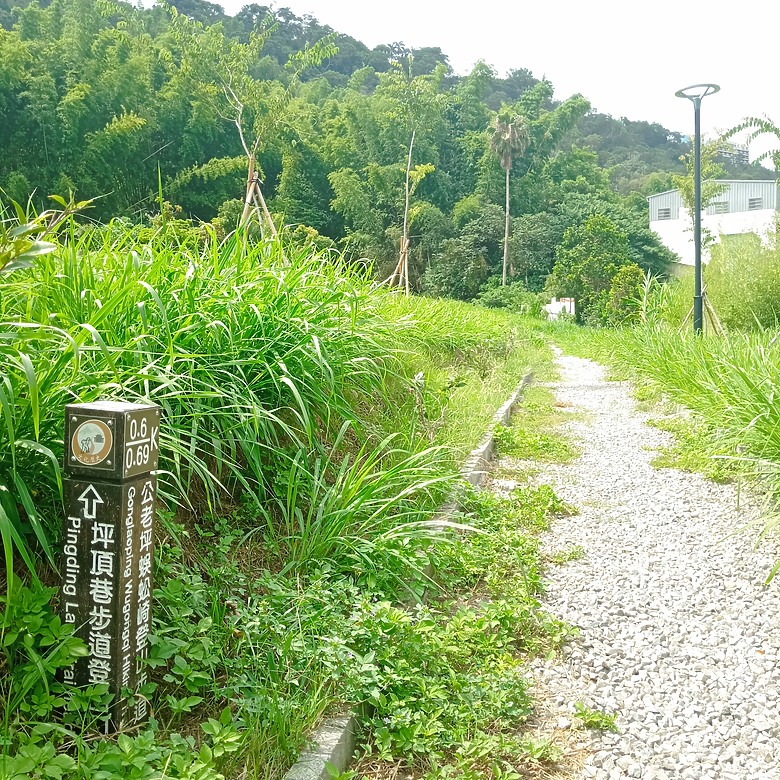 點我看大圖 豐原公老坪蜈蚣崎登山步道,舒適遼闊低難度的登山步道