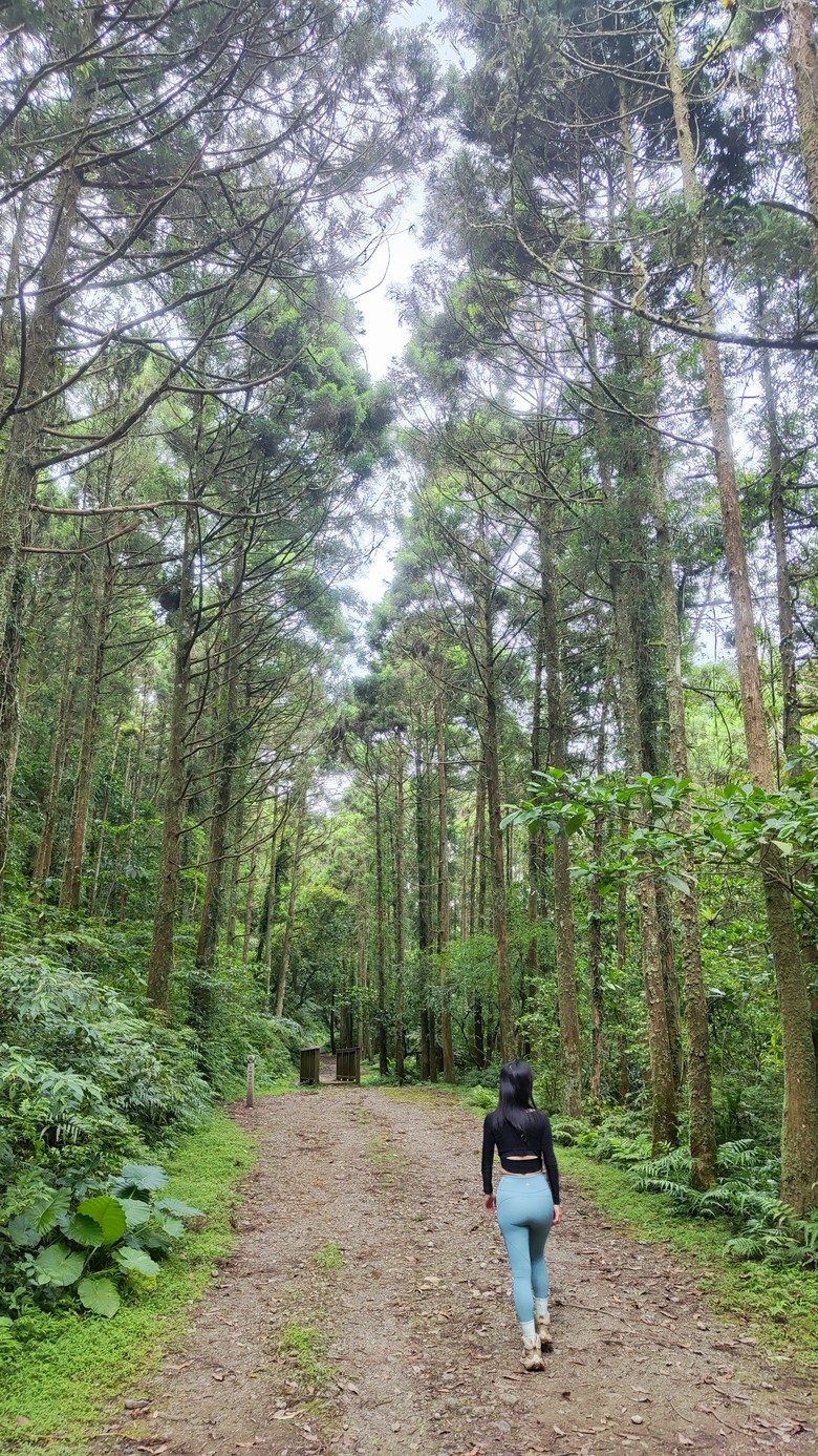 宜蘭頭城 | 最高寺廟 | 海景第一排 | 太和宮金殿