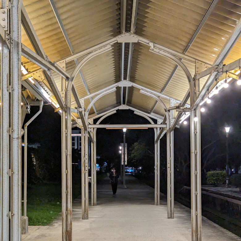 夜裡的生命之樹與光彩迷離 / 台東-鐵花村