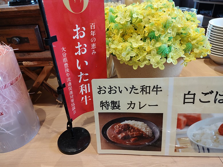 北九州八天七夜自由行--福岡 /門司港 /由布院 /別府 /熊本 /柳川 /太宰府 /海之中道
