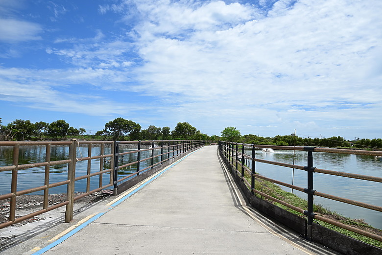 Z9+663梅雨季拍燕子，介紹落日灣、右岸濕地、鵬村濕地和鳥仔咖。加映Z6III拍燕子及崁頂生態公園。