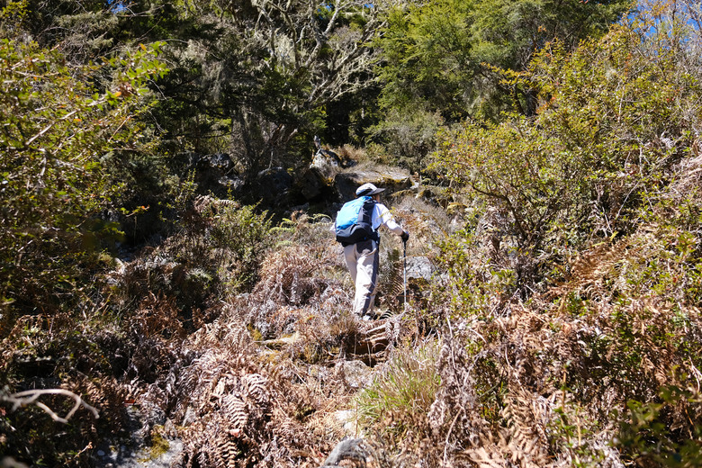 【南橫溪頭山】媲美南橫三星百岳的一座巨岩高山