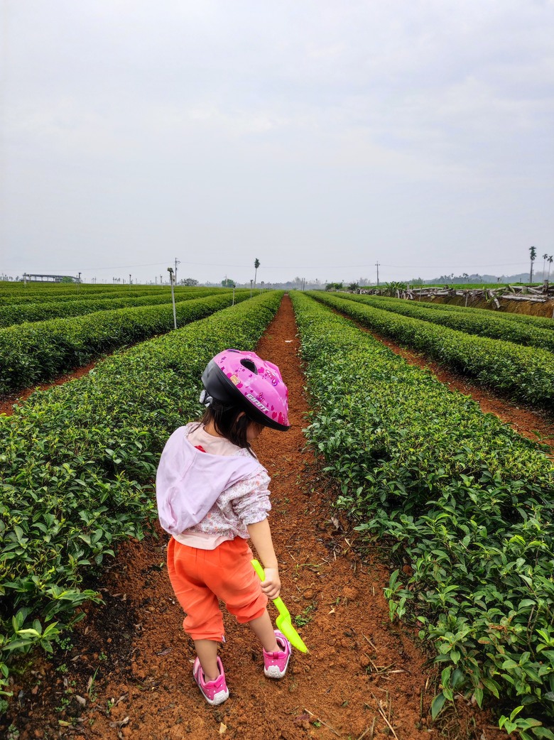 2024年夏,小小孩的騎旅,桃園,96聯賽桃園讚^_^