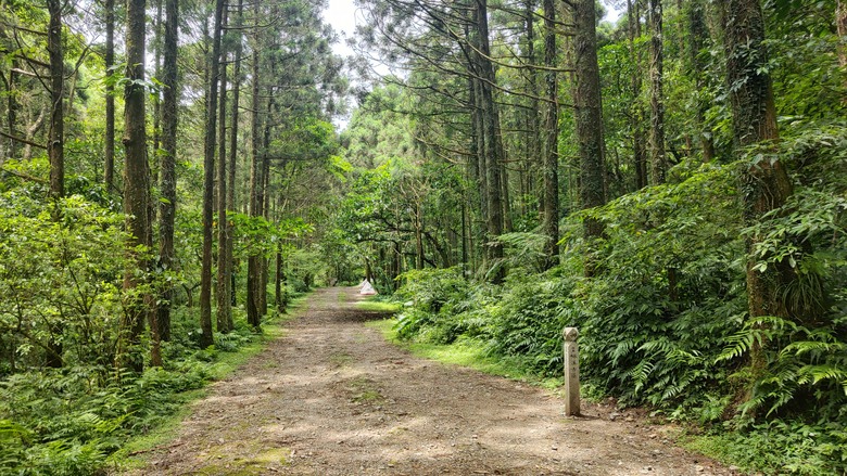 宜蘭頭城 | 最高寺廟 | 海景第一排 | 太和宮金殿