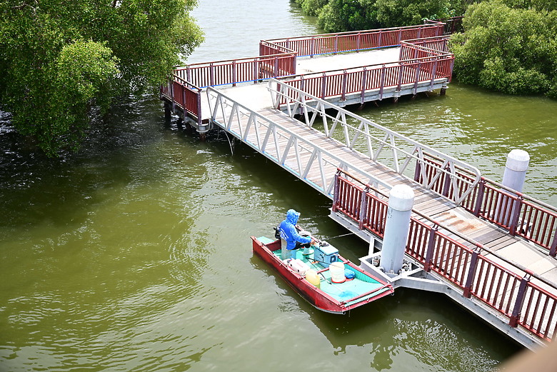Z9+663梅雨季拍燕子，介紹落日灣、右岸濕地、鵬村濕地和鳥仔咖。加映Z6III拍燕子及崁頂生態公園。