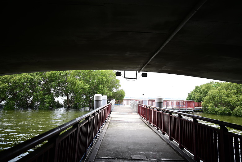 Z9+663梅雨季拍燕子，介紹落日灣、右岸濕地、鵬村濕地和鳥仔咖。加映Z6III拍燕子及崁頂生態公園。