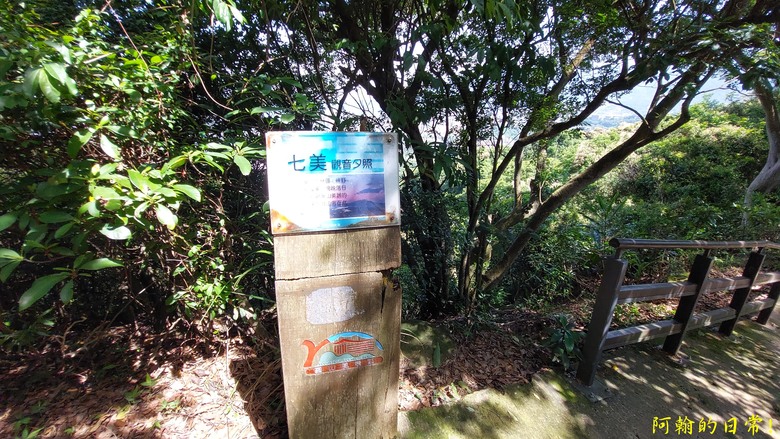 [2024 台北大縱走第五段] 捷運劍潭站 → 碧山巖｜遇到不知死活的眼鏡蛇｜台北市區、山巒美景 盡收眼底