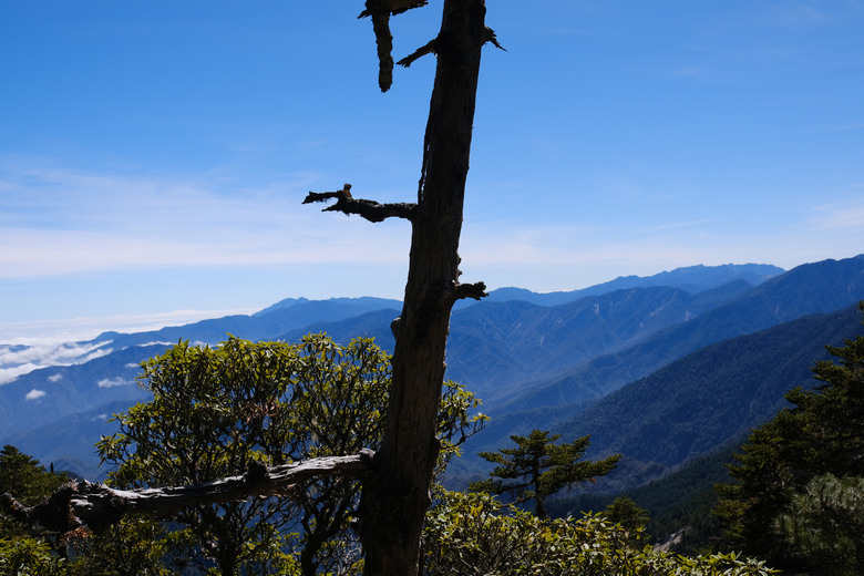 點我看大圖 【南橫溪頭山】媲美南橫三星百岳的一座巨岩高山