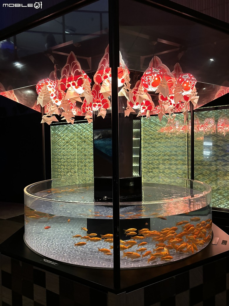 點我看大圖 東京之旅|東京晴空塔下的神祕的海洋奇妙冒險:墨田水族館一遊
