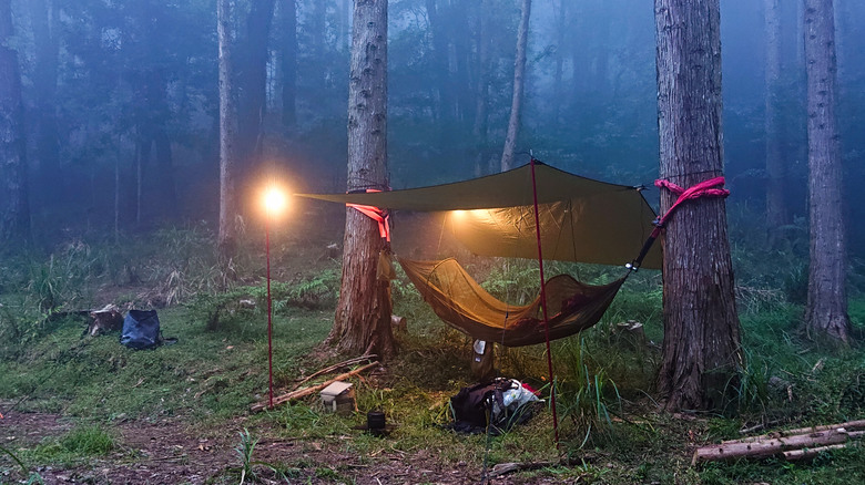 夏季小關山林道森林系野營,台灣原始森林之美🌲吊床露營剛剛好