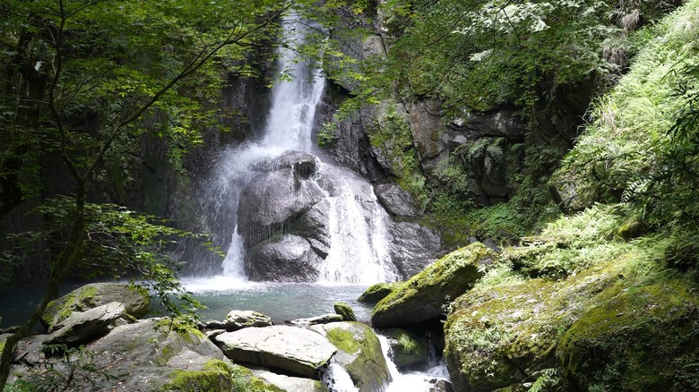 【大霸群峰】世紀奇峰大霸尖山！ (含新手登大霸懶人包說明)