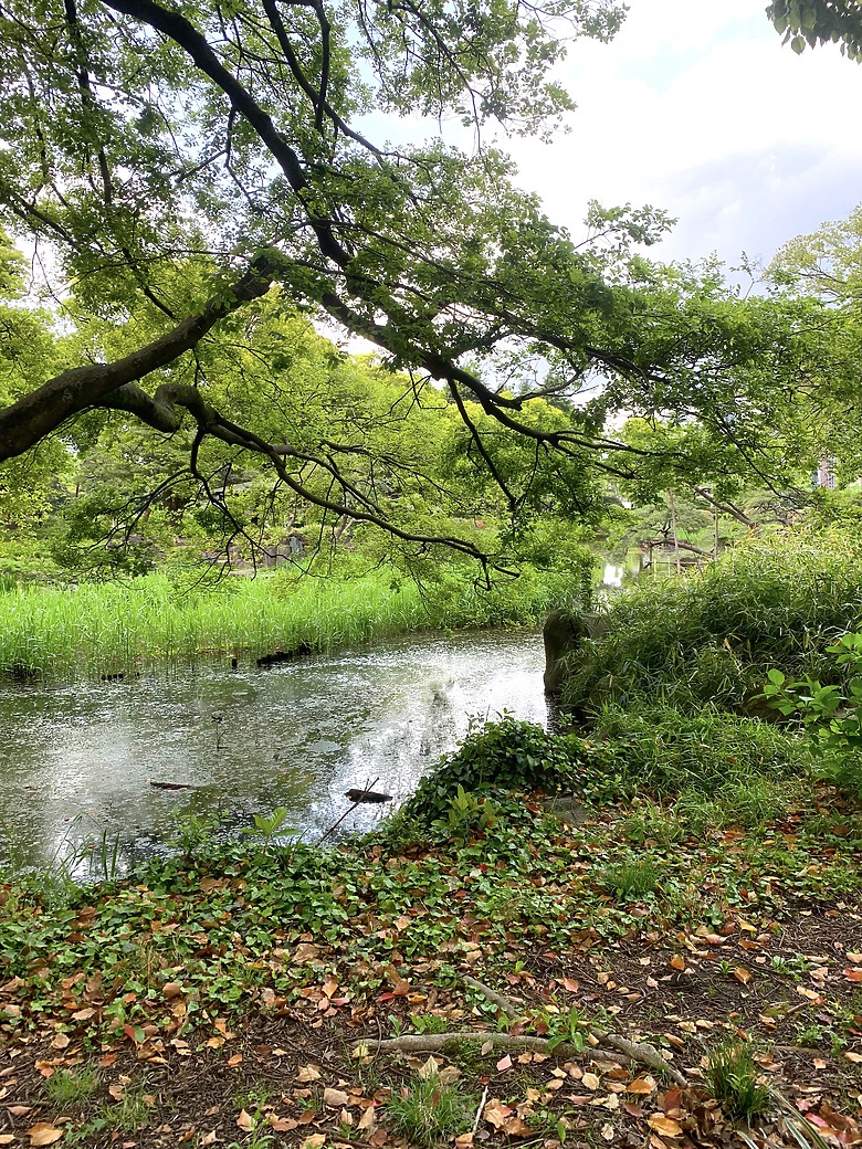＜日本＞2023東京放飛自我~日比谷公園、東京中城日比谷東京彼女展覽