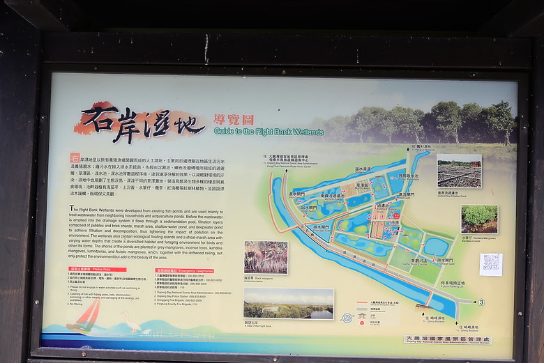 Z9+663梅雨季拍燕子，介紹落日灣、右岸濕地、鵬村濕地和鳥仔咖。加映Z6III拍燕子及崁頂生態公園。