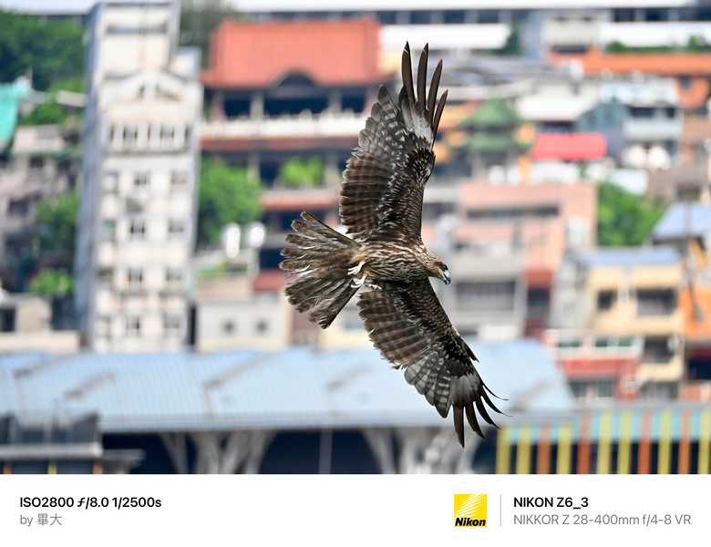 在Z6iii發表後，來實際比較一下ZF/Z6iii/Z8(以拍照主)