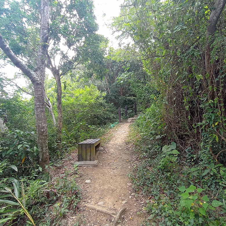 豐原公老坪蜈蚣崎登山步道，舒適遼闊低難度的登山步道