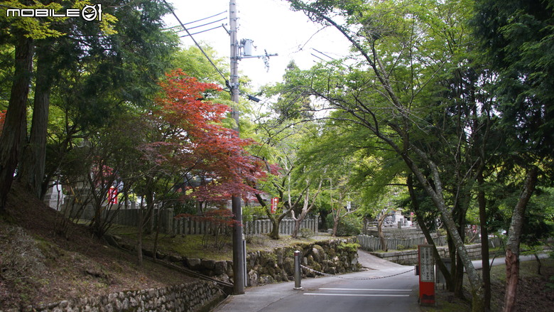 ＜日本＞意料之外的簡單日本大阪騎車一日遊